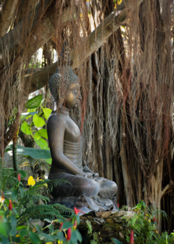 Buddha in the garden