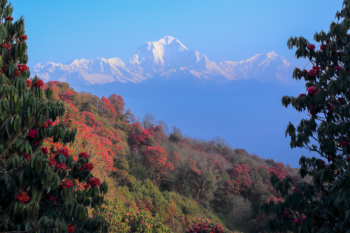 Himalayas in the sky