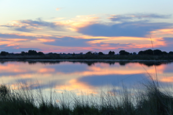 Okavango river evening lights