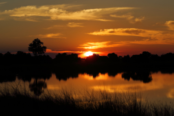 Okavango sunset