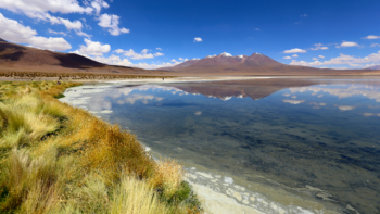 alpine lagoons, Bolivia