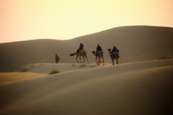 caravan in the Thar desert, India