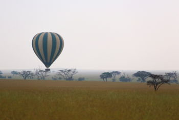 hot air balloon over savannah