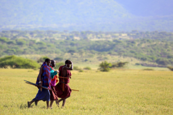 maasai shepherds