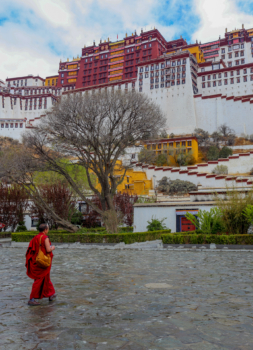monk in lhasa