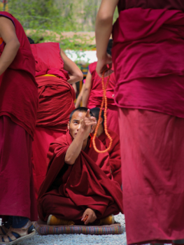monk in training, Tiben