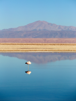 pastel of lagoon at Altiplano