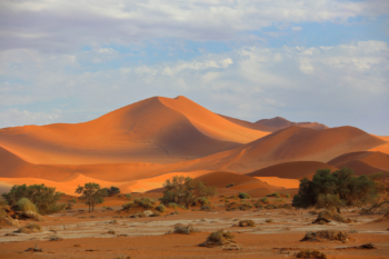 red dunes of Sossusvlei