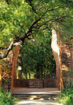 temples hiding in the forests of Myanmar