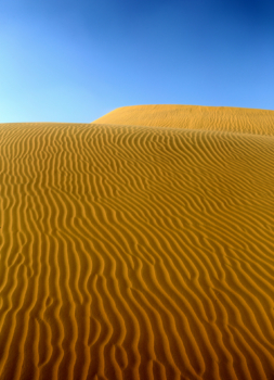 textured dunes