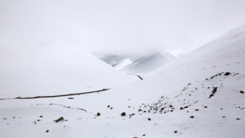 the whiteness of the mountain passes of Tibet