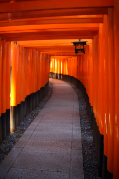 tori gate road, Japan