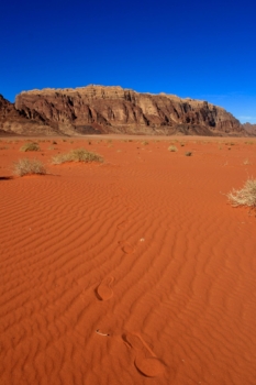 footprints in the red sand of the desert, Jordan 