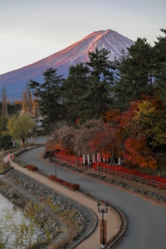 road to Fuji at sunrise, Japan